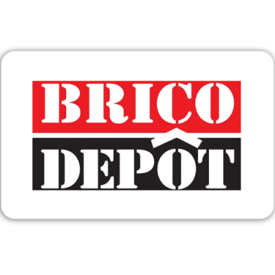 Card Cadou - Brico Depot - Romania